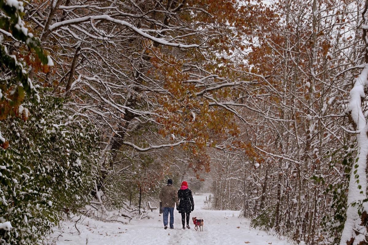 St Louis shovels up 6 inches more or less as sledding St Louis shovels up 6 inches more or less as sledding