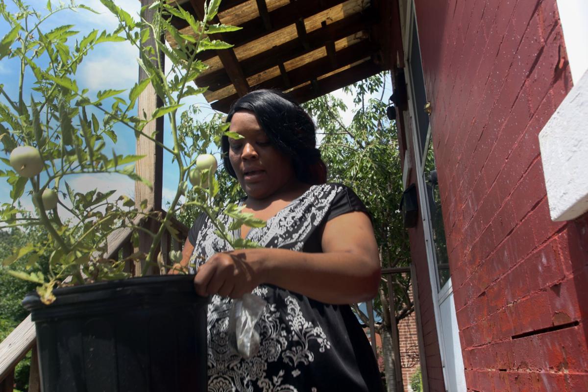 Food Pantry Helps Clients To Grow Their Own Metro Stltoday Com