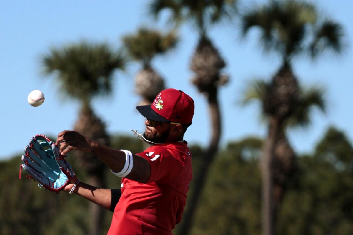 Cardinals Tuesday workout