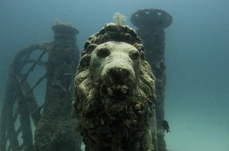 Neptune Memorial Reef