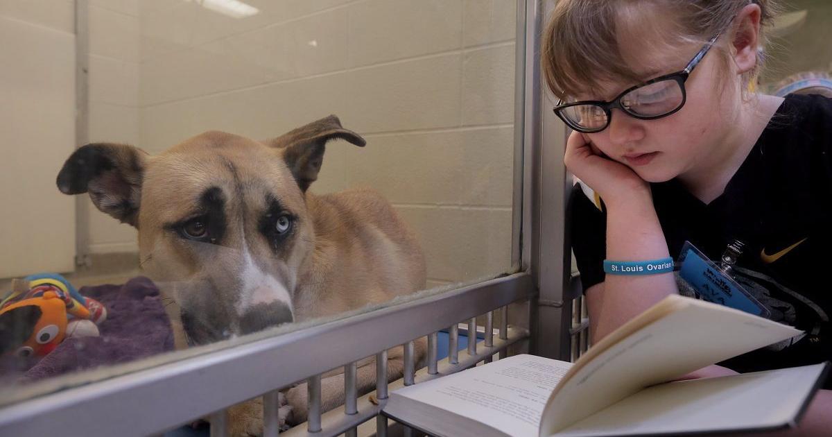 Kids read to shelter dogs at the Humane Society of Mo.
