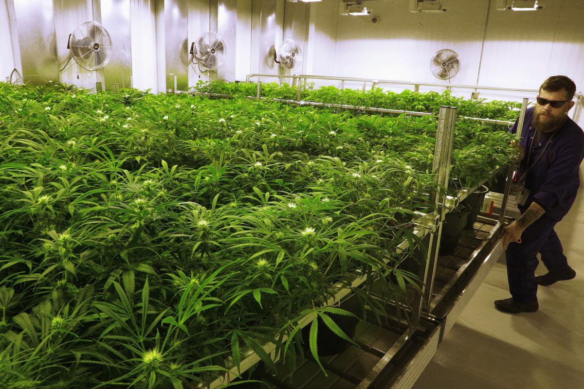 Marijuana in Illinois
