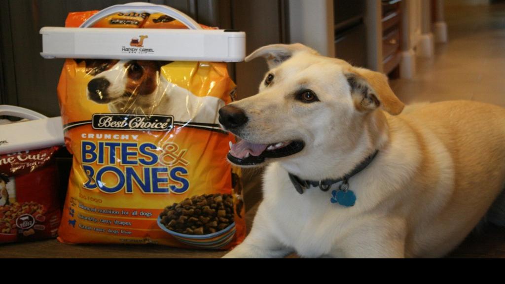 Product Test Bag clip for large dog food bags Home & Garden