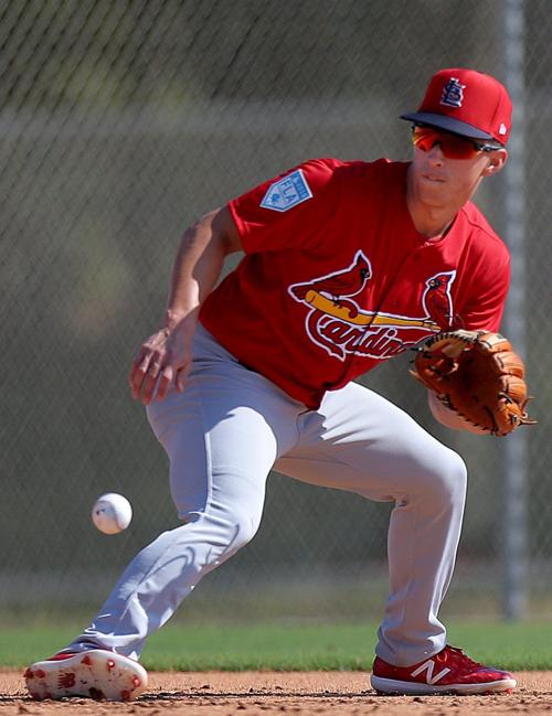 2019 Cardinals spring training
