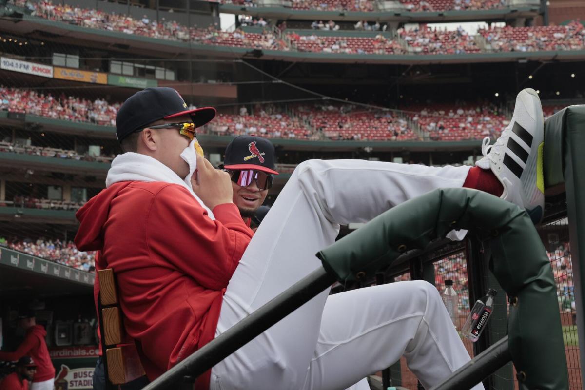 Cardinals host Red Sox Sunday