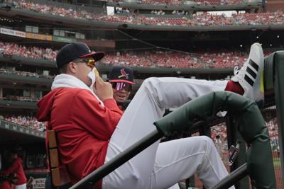 Cardinals host Red Sox Sunday