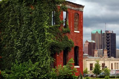 Vacant neighbors, vacant homes