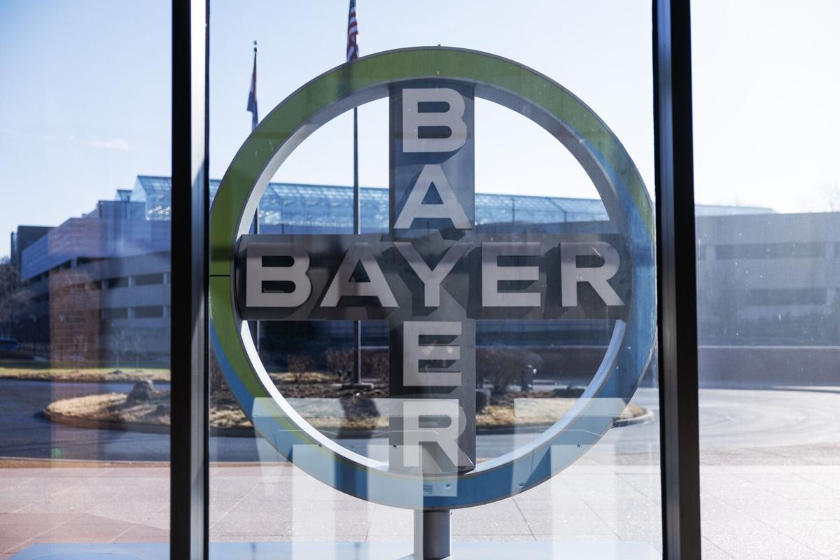 Bayer AG introducing more resilient short corn