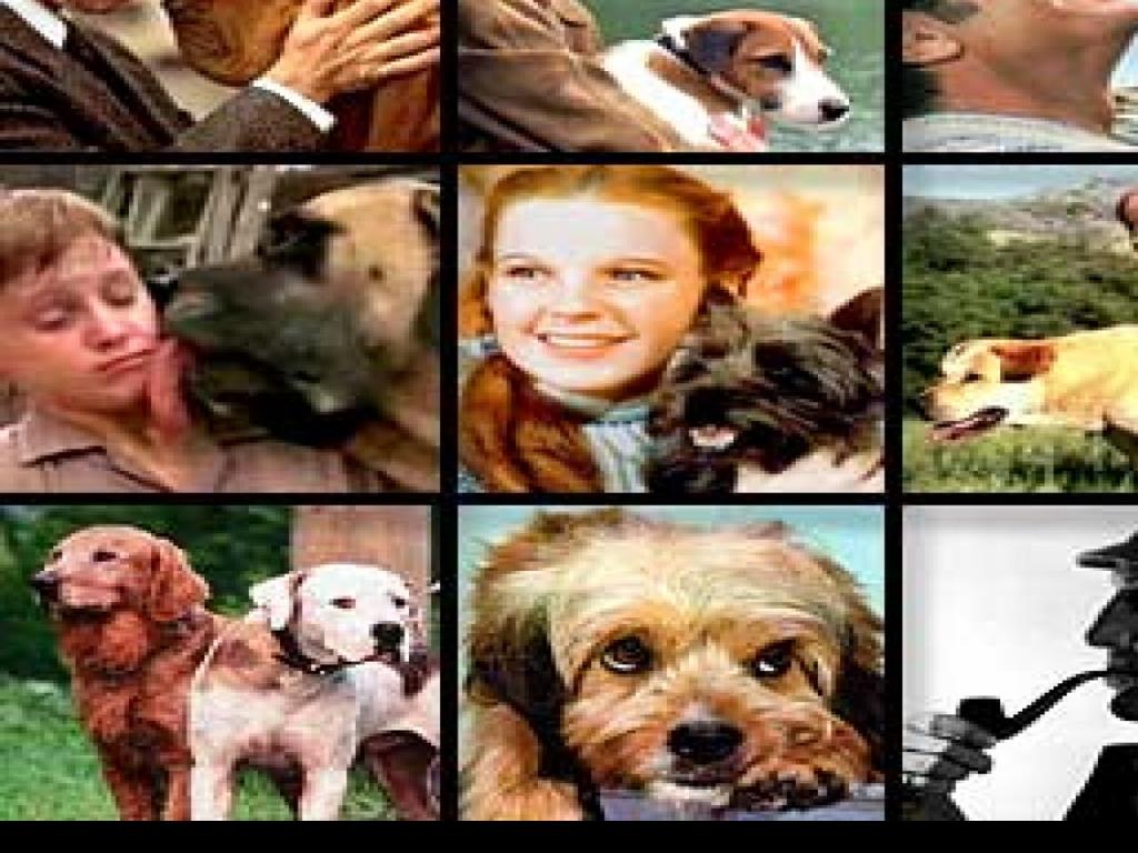 Sherpa S Top 10 Best Dog Movies Joe S St Louis Stltoday Com