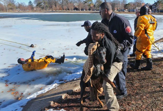 Fire Dept. Rescues dog from lake in O'Fallon Park