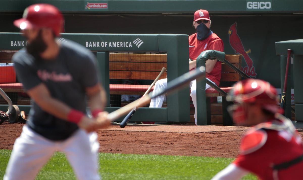 'Summer Camp' for the Cardinals on the 4th of July