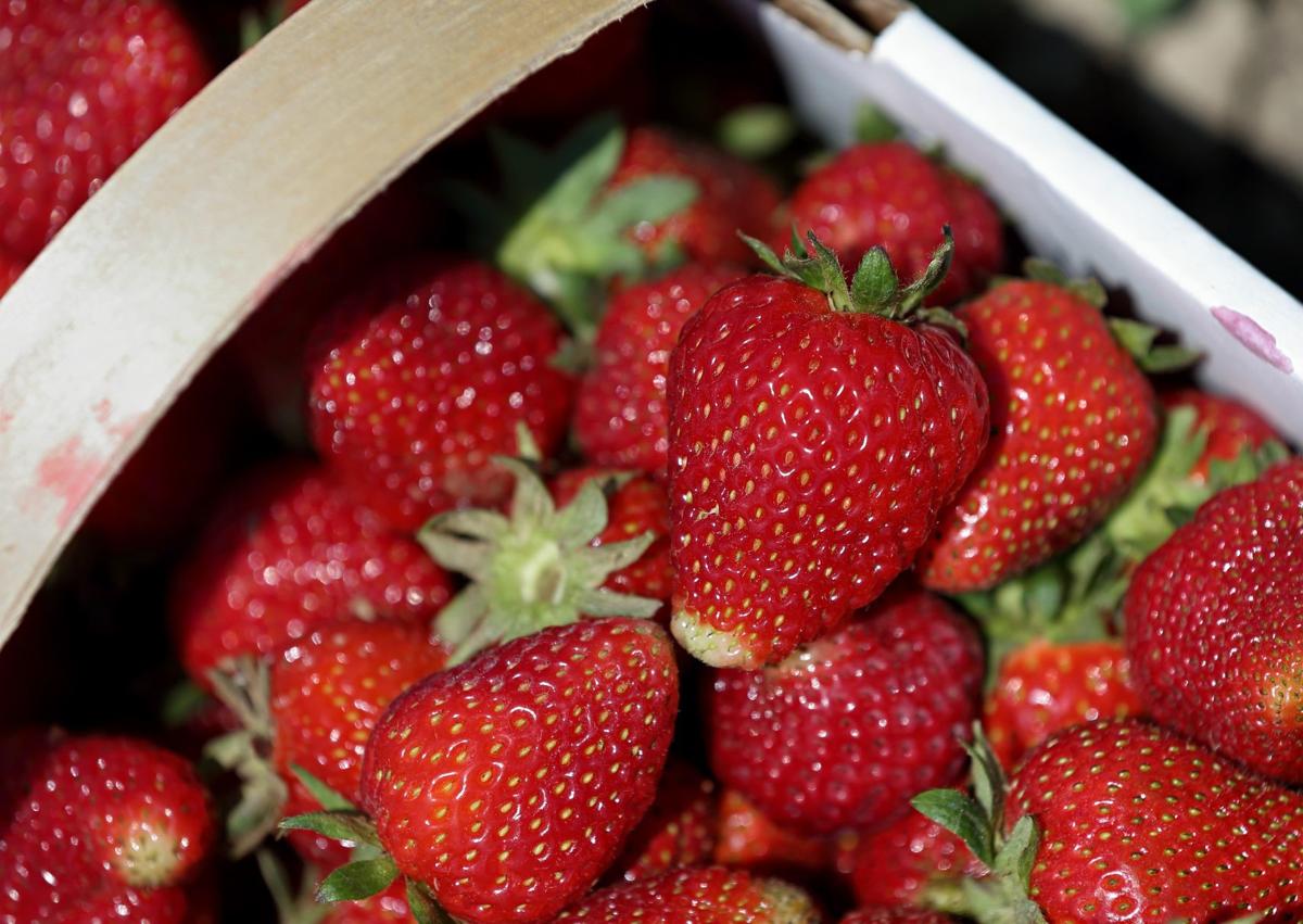 Strawberry Festival in Kimmswick canceled due to flooding; St. Charles