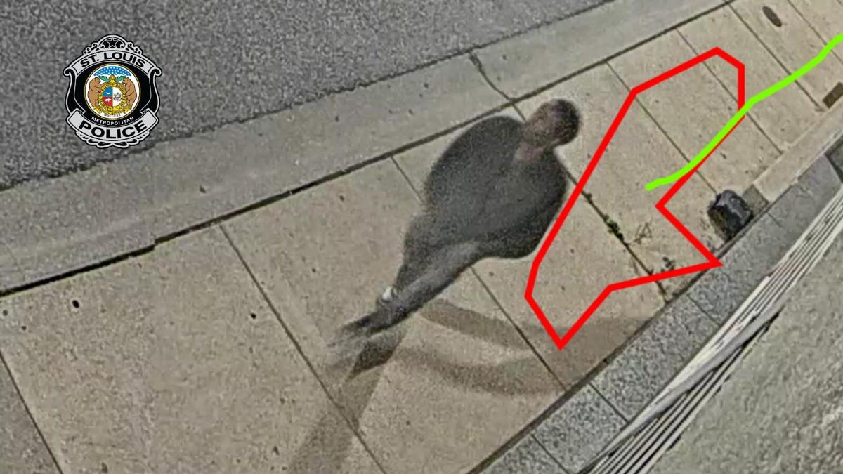 Surveillance image