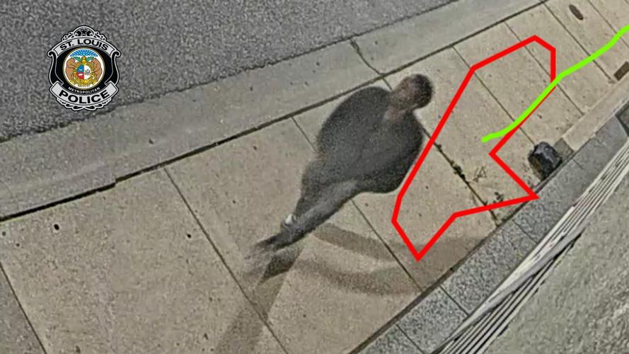 Surveillance image