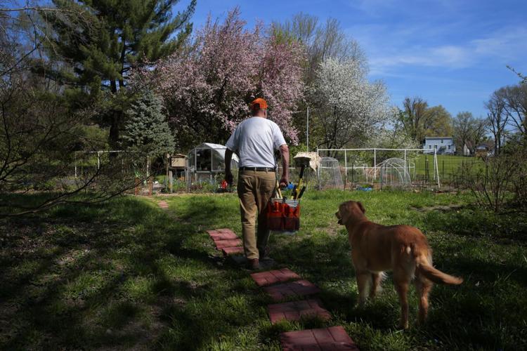 A ӣƵ County man has made it his life's work to get honeysuckle banned