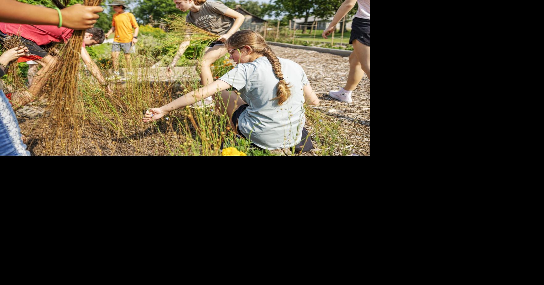 Ihr Leitfaden zu den Sommercamps 2025 in der Gegend von St. Louis