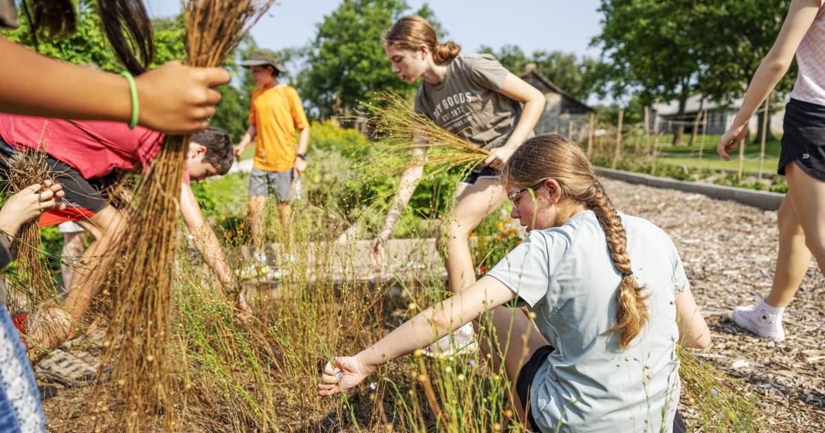 Ihr Leitfaden zu den Sommercamps 2025 in der Gegend von St. Louis