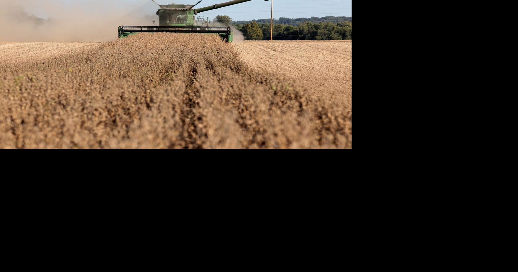 Agricultores de Missouri Detonam Tarifa de Trump: 'Queremos Vender Nossas Sojas!'