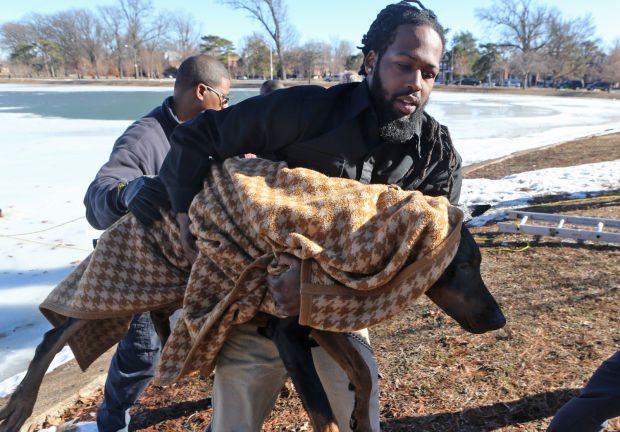 Fire Dept. Rescues dog from lake in O'Fallon Park