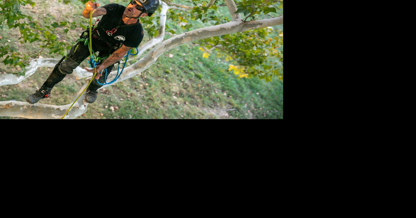 High Ridge man has home-tree advantage for international climbing contest in St. Louis