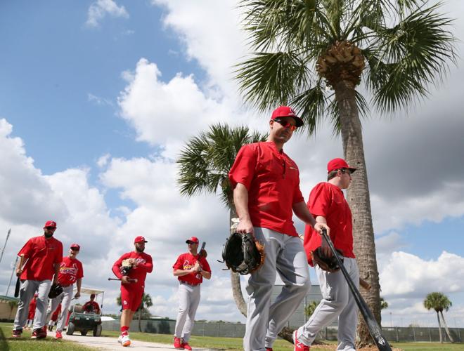 St. Louis Cardinals Spring Training in The Palm Beaches