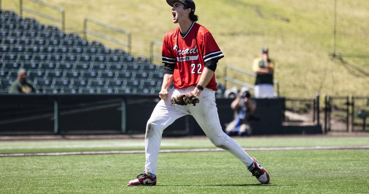 Triad advances to baseball state final for the first time. 'It's huge for the program.'