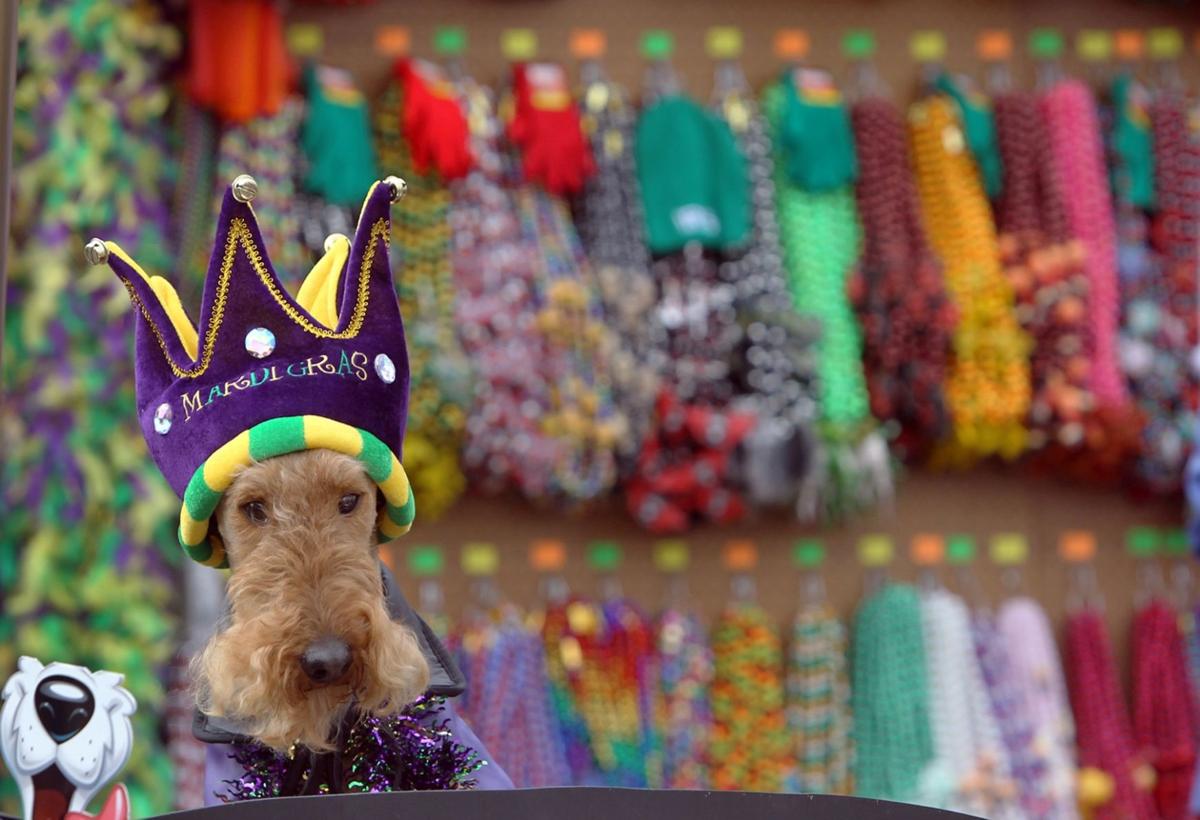 Spill the beads Soulard Mardi Gras revelers will grab for millions of