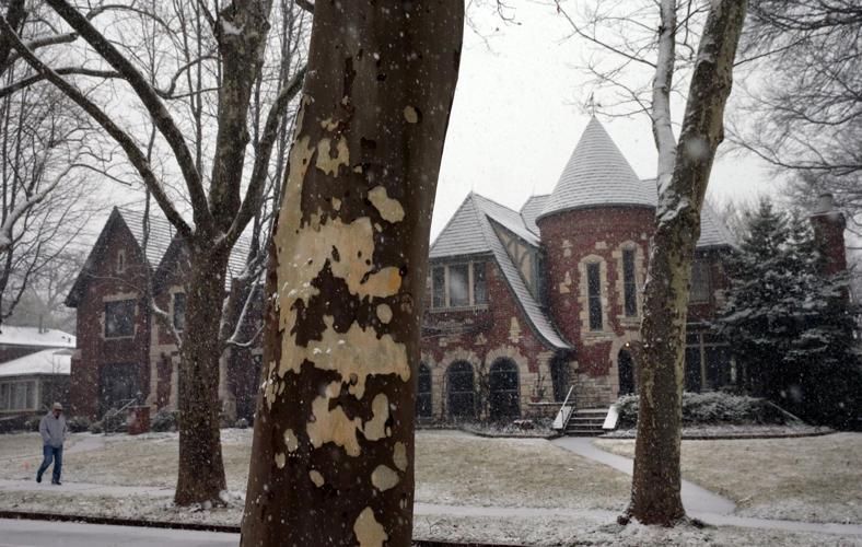 Stately homes surround Carondelet Park