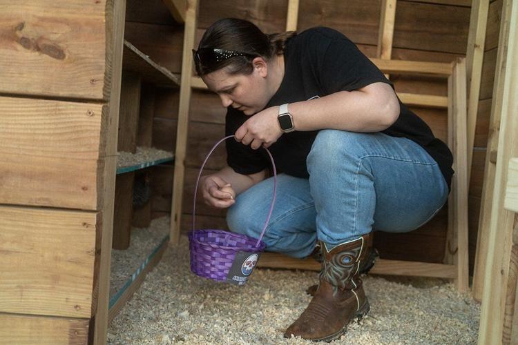 Jefferson County HOA threatens residents with fines for backyard chickens