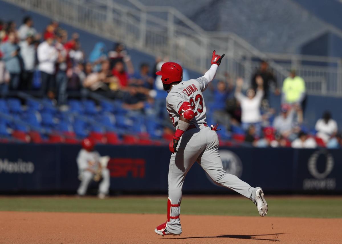 Mexico Reds Cardinals Baseball