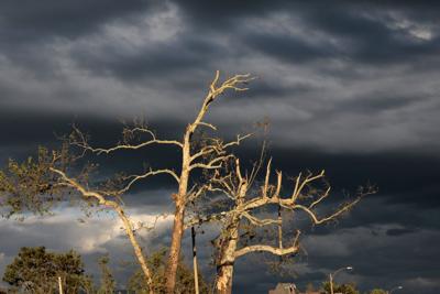 Weathering the storm