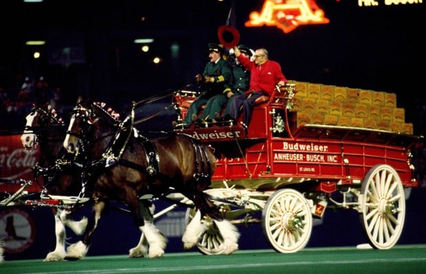 Memorial Day Car Sales >> August A. Busch Jr. and Clydesdales at Busch Stadium : News Memorial Day Car Sales >> August A. Busch Jr. and Clydesdales at Busch Stadium : News