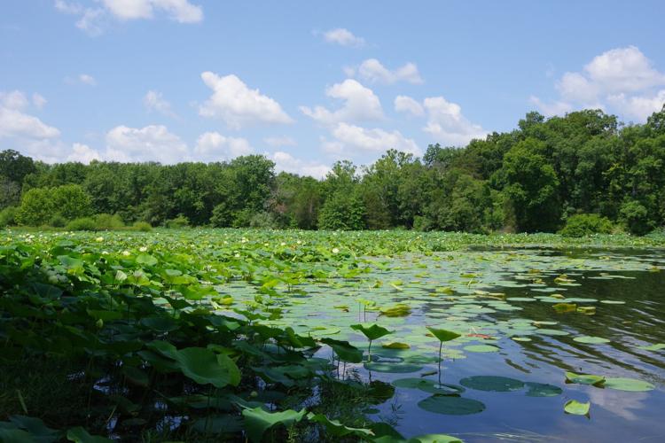 Bring the family and learn how to fish with MDC June 21 at Busch  Conservation Area—second class added