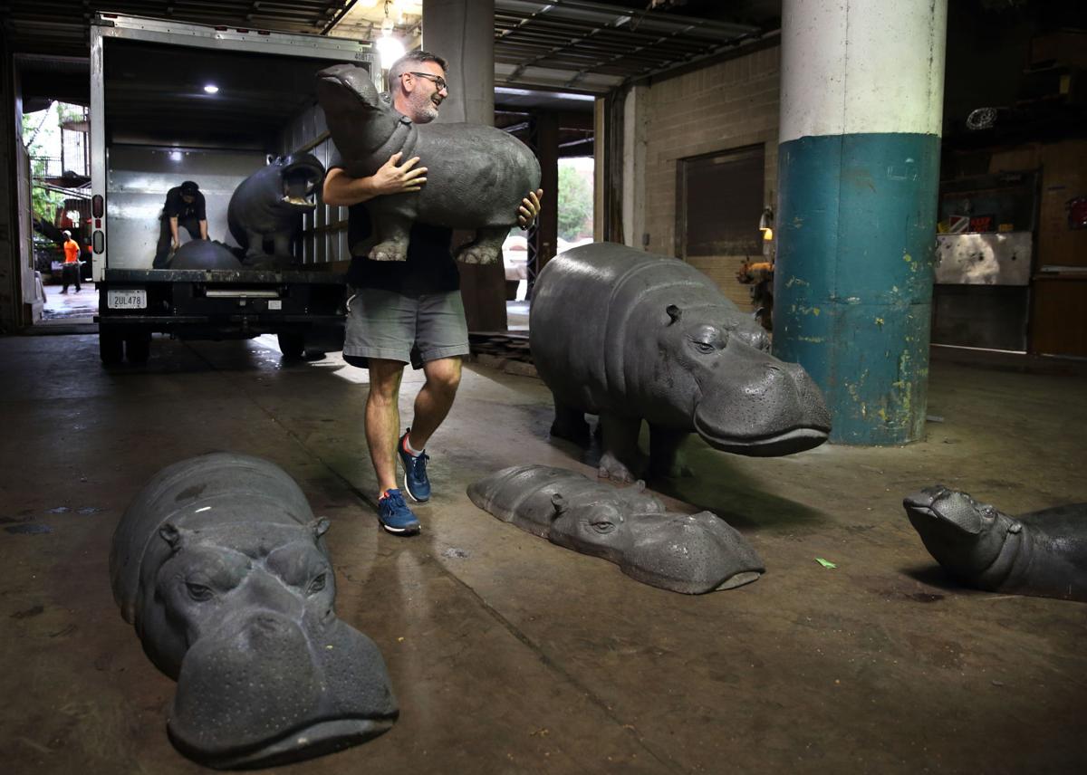 Hippos come home Sculptures that lived in NYC come back to City Museum