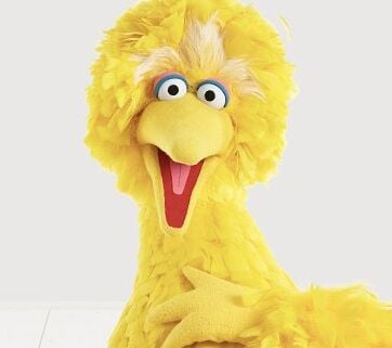 Big Bird