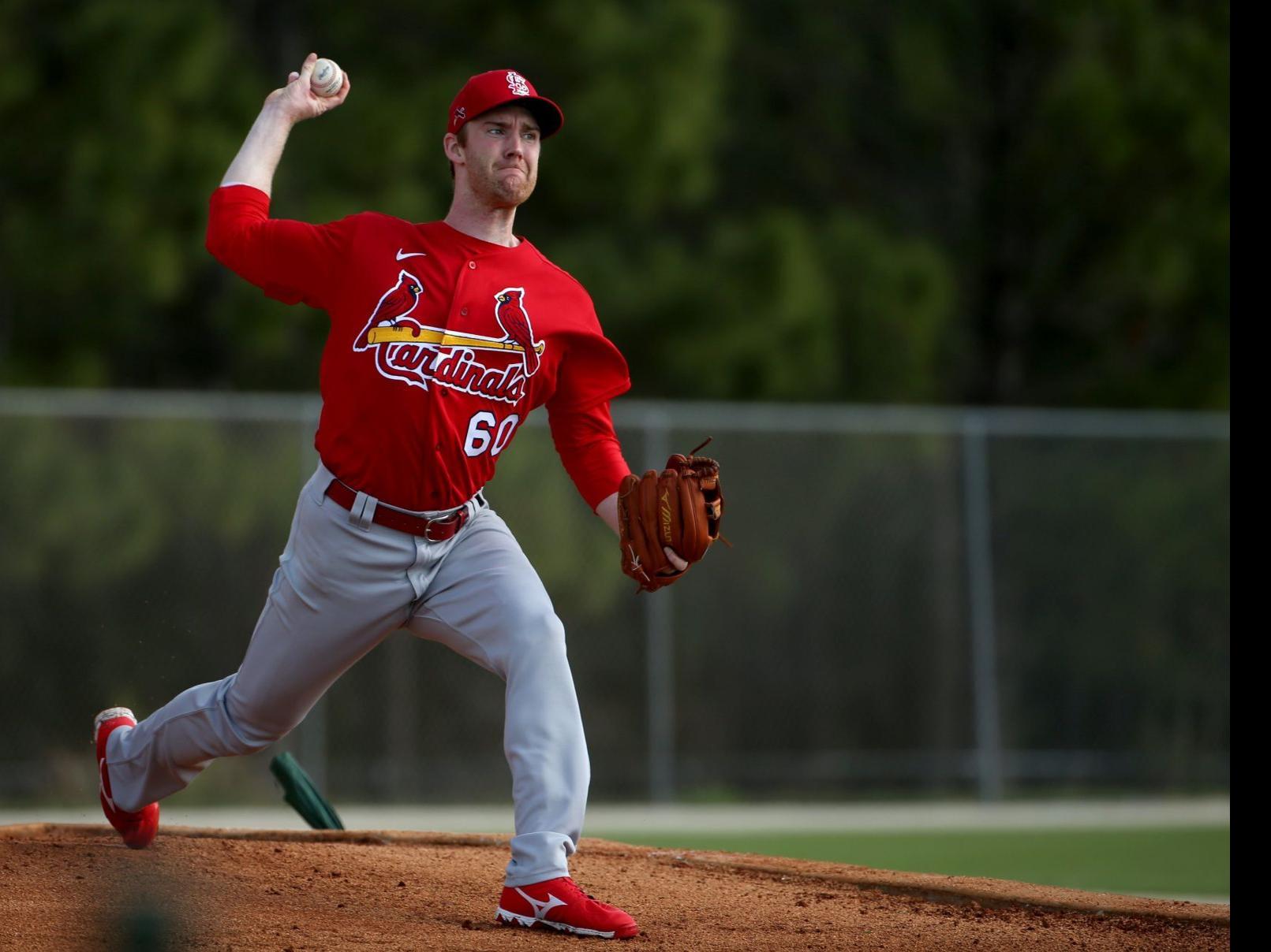 Cardinals Let Brebbia Become Free Agent As New Intriguing Outfielders Hit Open Market St Louis Cardinals Stltoday Com 71 images of free baseball pictures. cardinals let brebbia become free agent