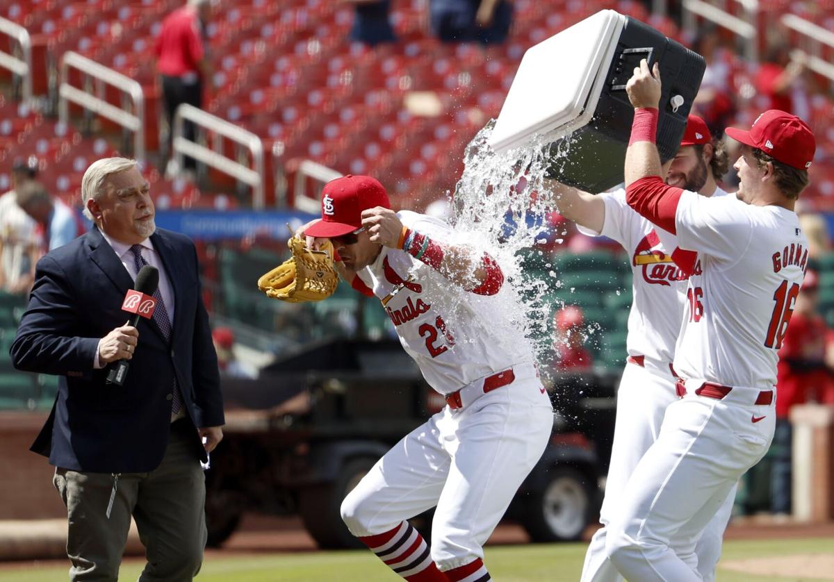 �����Ӱ�ԭ�� Cardinals face Arizona Diamondbacks at Busch Stadium
