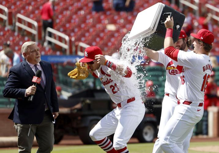 �����Ӱ�ԭ�� Cardinals face Arizona Diamondbacks at Busch Stadium