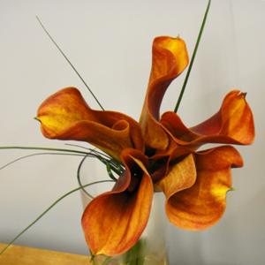 017_Walter Knoll Florist