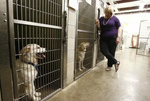 $188,000 donation to animal shelter goes to wrong Collinsville ...