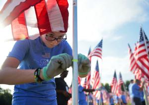 Flags of Valor memorial covers Art Hill in Forest Park