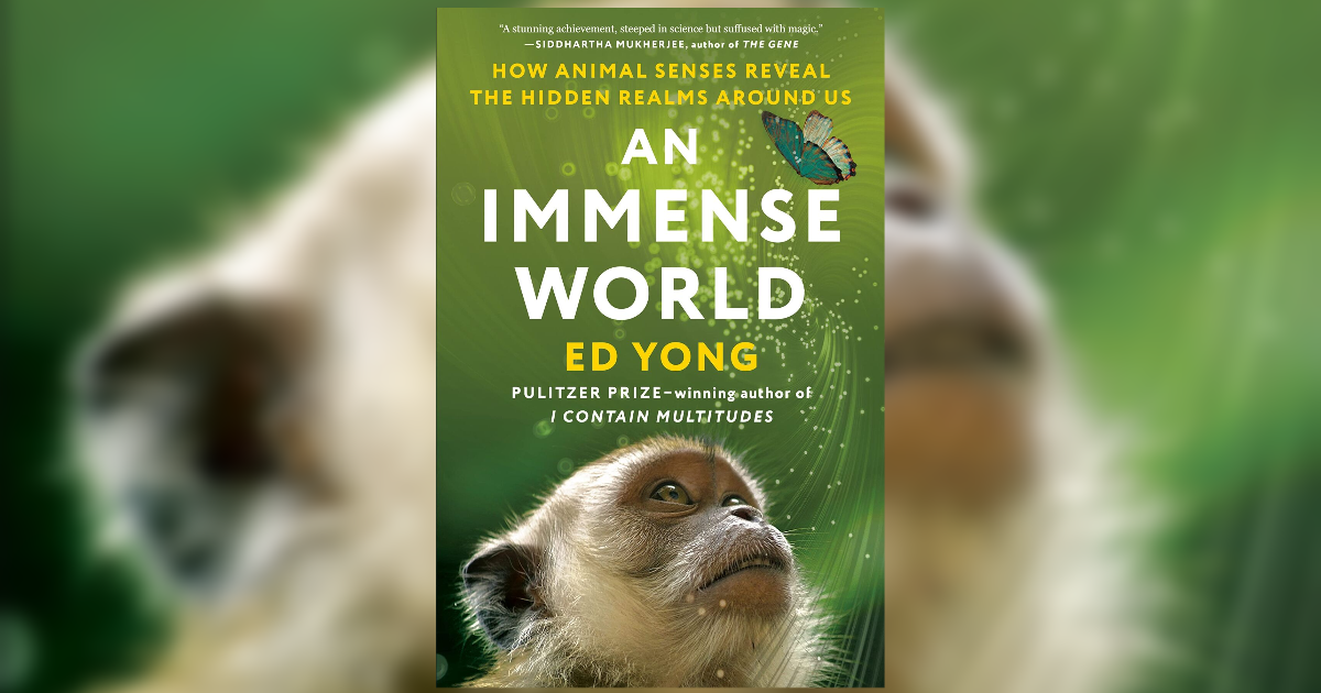 Review: Book on animal senses illuminates even nonhuman senses |  book reviews