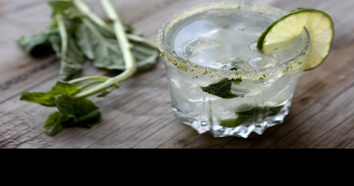 Basil The king of herbs