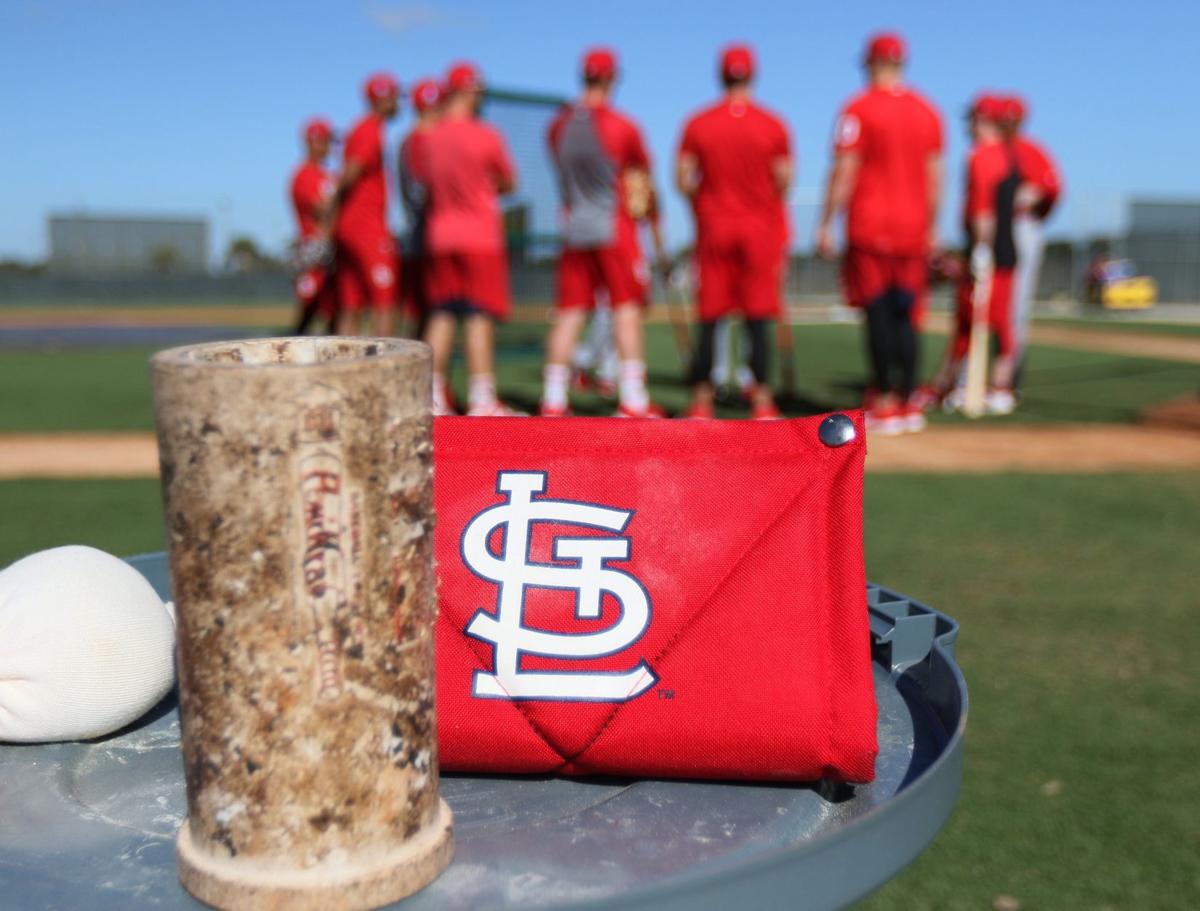 Cardinals spring training