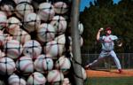 Cardinals spring training on Feb. 20