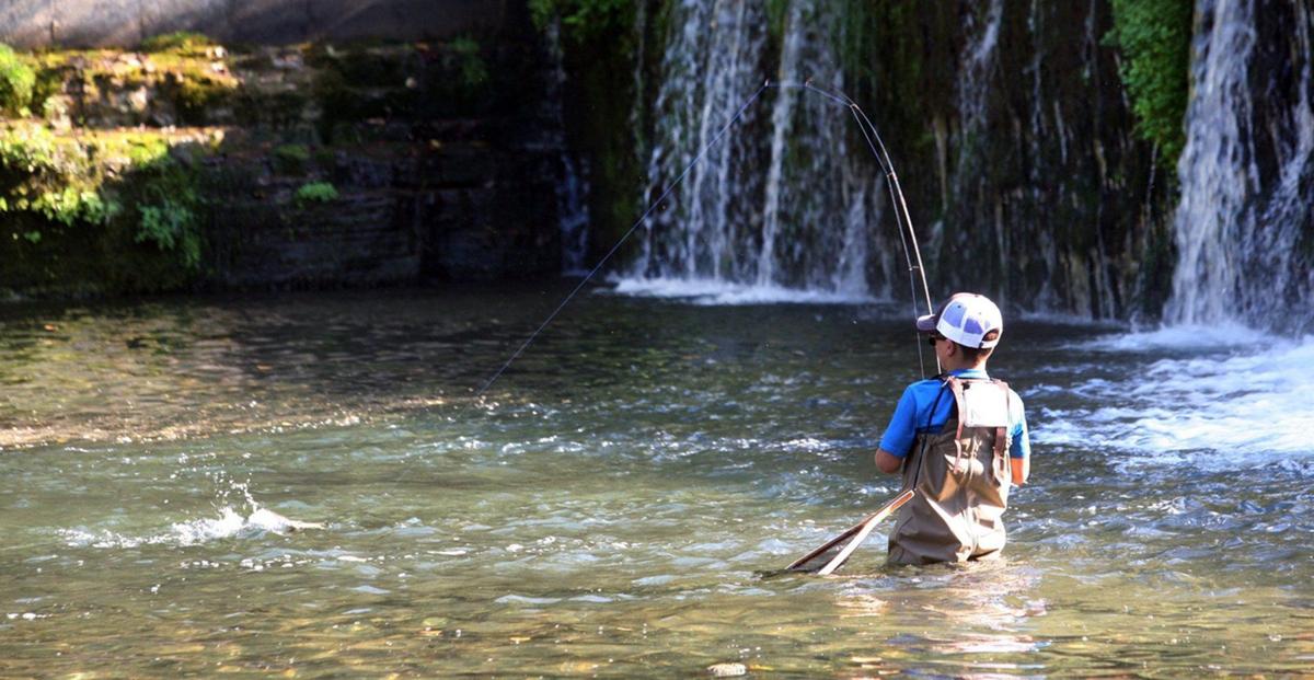 Trout fishing