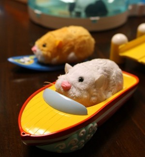 toy hamsters that move