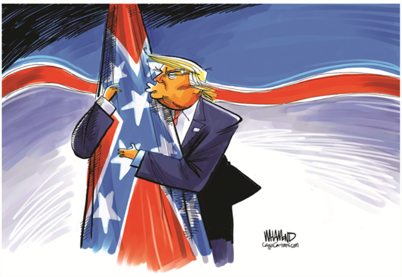 In the cartoons: Confederate flags; Bad cops; Social media