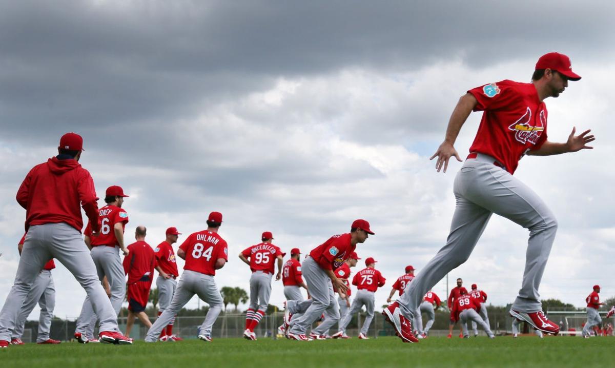 First official workout of Cardinals spring training St. Louis