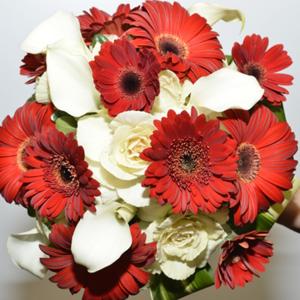 005_Walter Knoll Florist